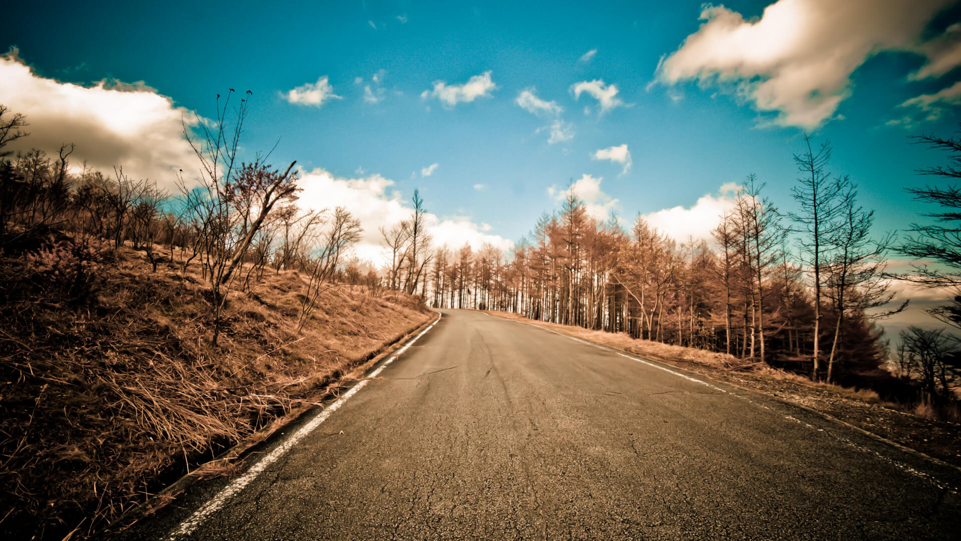 Canal-开源数据同步工具